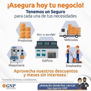 Seguro Negocio