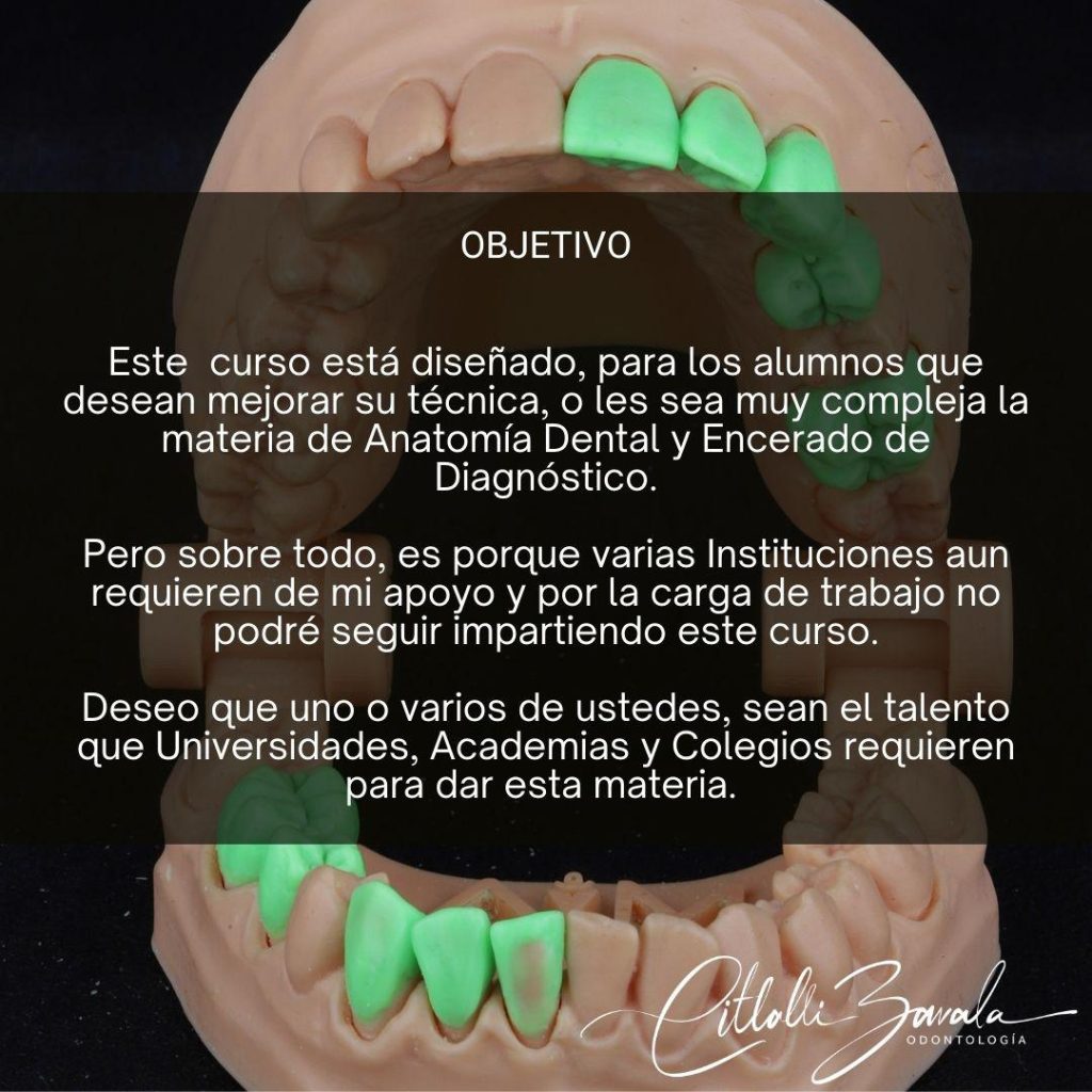 WhatsApp Image 2025-11-28 at 22.20.56 (1)