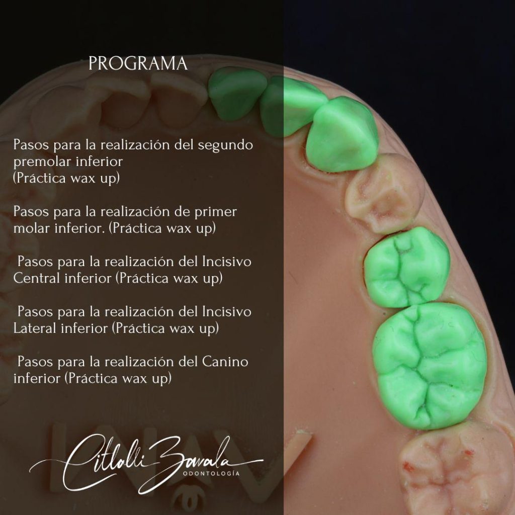 WhatsApp Image 2025-11-28 at 22.20.56 (3)