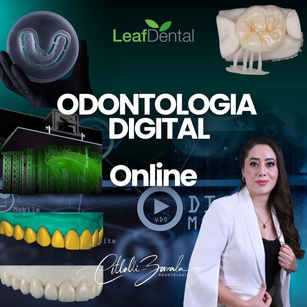 WhatsApp Image 2026-01-08 at 18.32.52